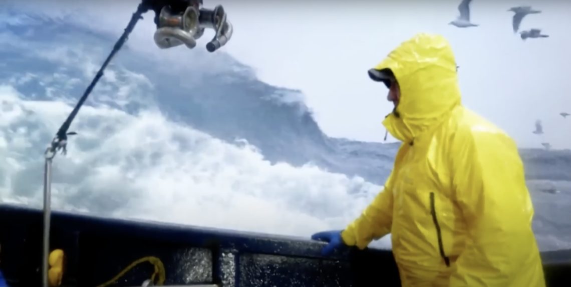 Deadliest Catch fatalities aren't limited to cast members as fans fear for  seabirds