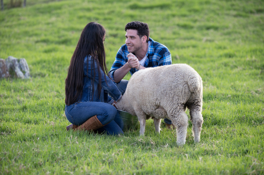 Devin smiles as he looks at Jenn Tran while a sheep sniffs Jenn on The Bachelorette.