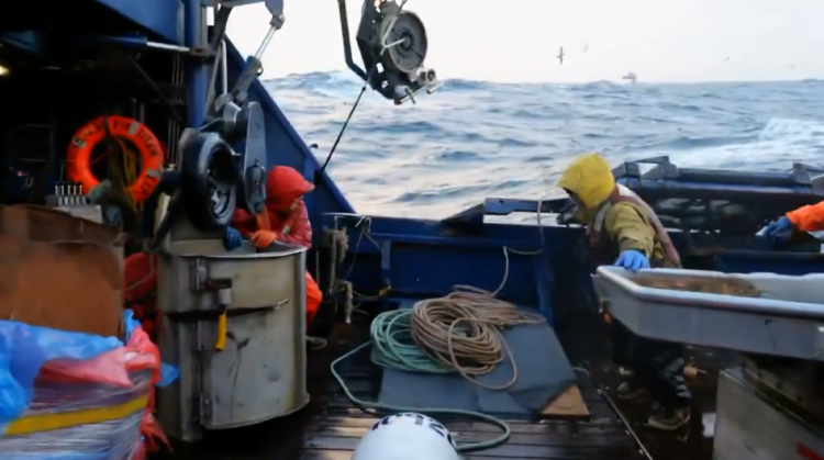 Deadliest Catch's Titan Explorer becomes 'too dangerous' as crew loses crabs