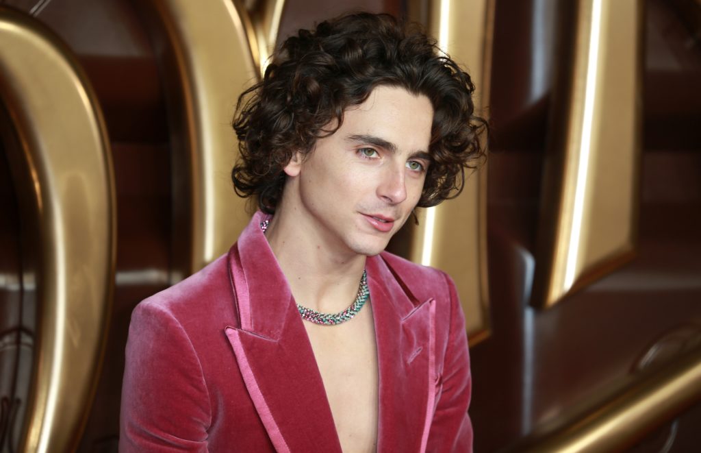 Timothee Chalamet poses wearing red blazer and silver necklace. 